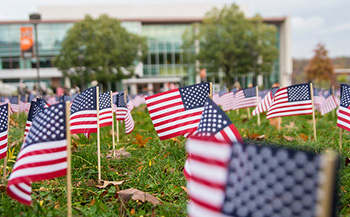 flagplanting350.jpg